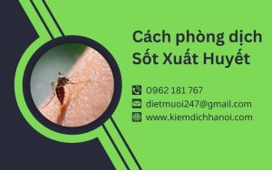 Cách phòng dịch sốt xuất huyết hiệu quả: Bảo vệ sức khỏe gia đình và cộng đồng