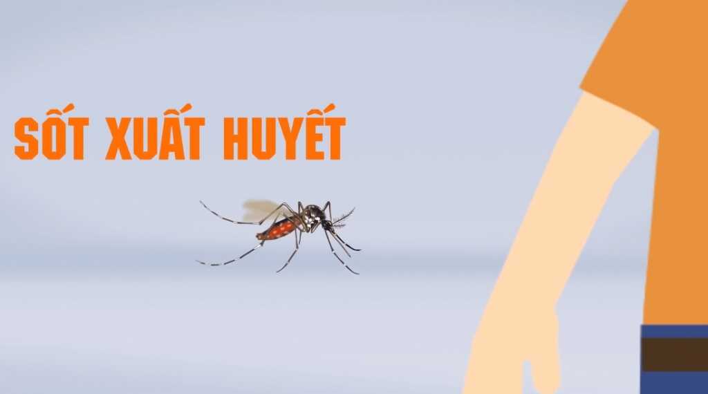 Phun thuốc diệt muỗi phòng dịch sốt xuất huyết