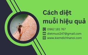 Cách diệt muỗi hiệu quả, cách đuổi muỗi an toàn