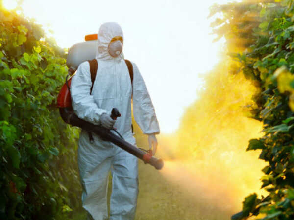 Có những biện pháp khác để phòng chống muỗi tại Hà Nội ngoài việc sử dụng thuốc diệt muỗi không?
