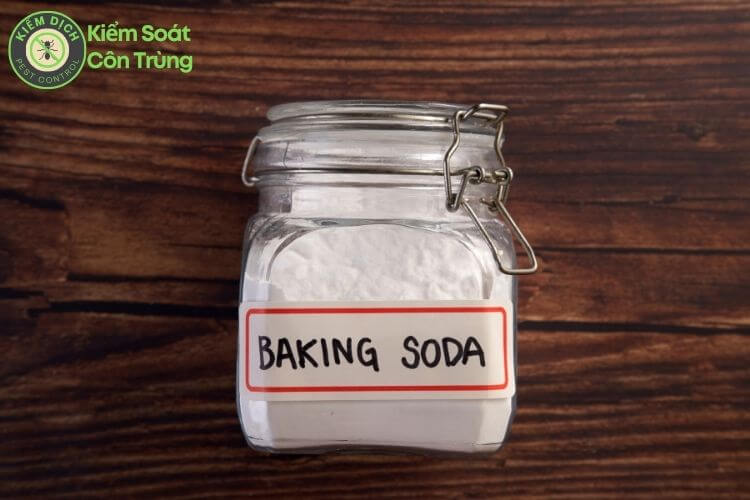 Cách diệt kiến trong nhà vĩnh viễn hiệu quả bằng baking soda