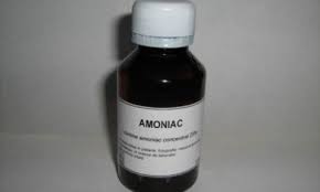 Cách diệt chuột tận gốc bằng Amoniac