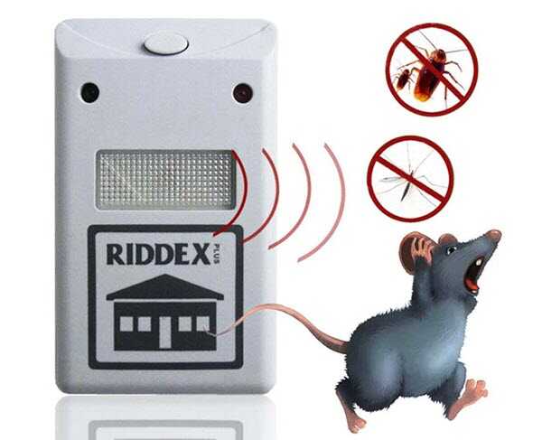 Phòng chống chuột bằng aap điện thoại