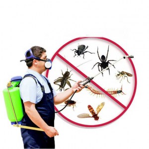 Dịch vụ phun thuốc diệt muỗi và côn trùng tại nhà