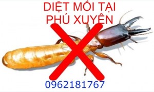 Dịch vụ diệt mối tận gốc tại nhà huyện Phú Xuyên chất lượng số 1