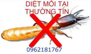 Dịch vụ diệt mối tận gốc tại nhà huyện Thường Tín an toàn và giá rẻ nhất