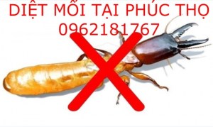 Dịch vụ diệt mối tại Huyện Phúc Thọ - TP Hà Nội