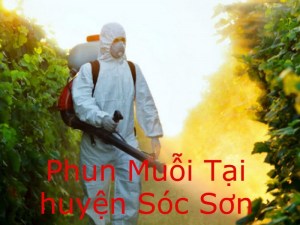 Dịch vụ phun thuốc diệt muỗi tận gốc tại huyện Sóc Sơn