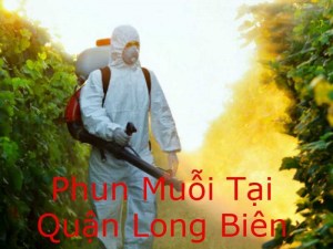 Dịch vụ phun thuốc muỗi tại nhà quận Long Biên