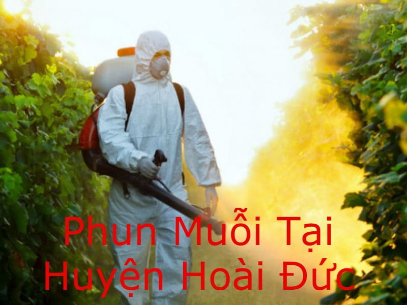 Dịch vụ phun thuốc diệt muỗi tại huyện Hoài Đức