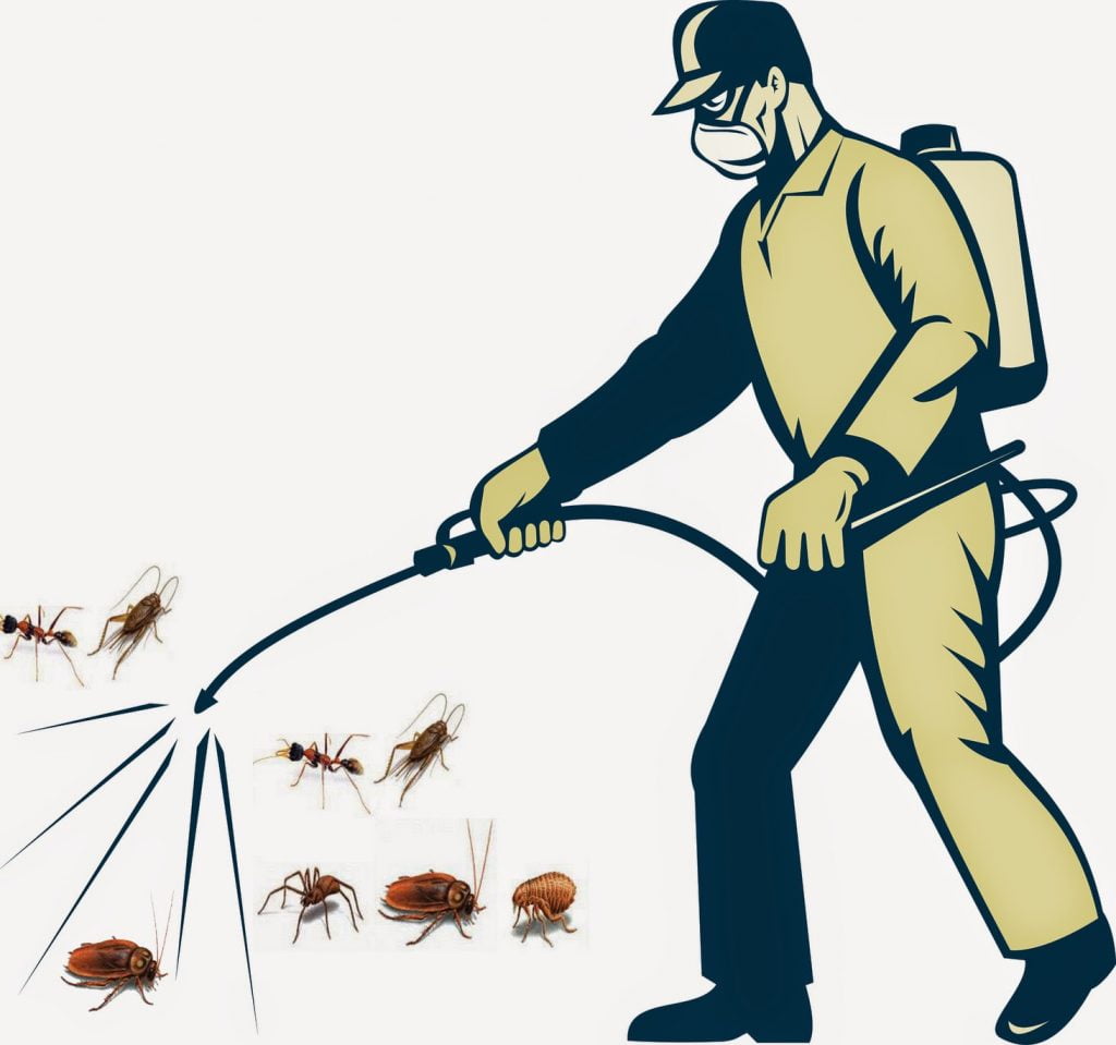 Các dịch vụ diệt côn trùng khác tại Hà Nội