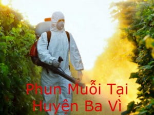 Phun thuốc diệt muỗi tại huyện Ba Vì