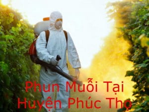 Dịch vụ phun thuốc diệt muỗi tại huyện Phúc Thọ