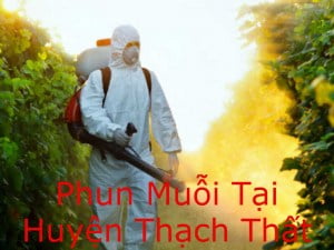 Phun thuốc diệt muỗi tại huyện Thạch Thất