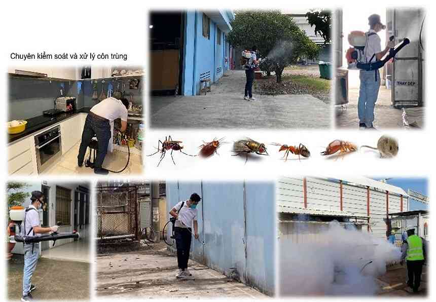 Tại sao phải sử dụng dịch vụ diệt côn trùng tại Hà Nội?
