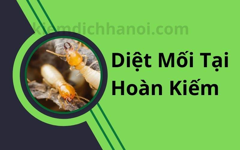 Diệt mối tận gốc tại quận Hoàn Kiếm