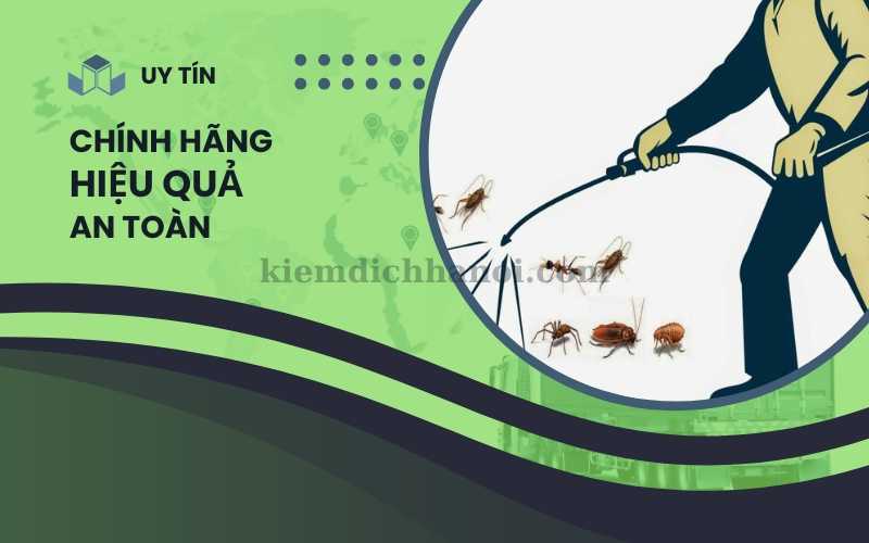 Bảng báo giá dịch vụ diệt côn trùng chi tiết