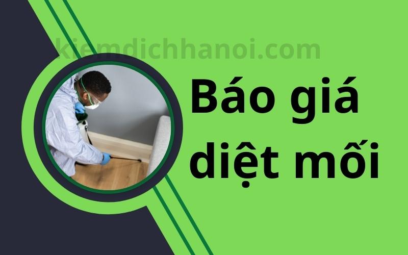 Báo giá dịch vụ diệt mối tại nhà