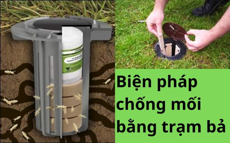 Biện pháp thi công phòng chống mối cho công trình xây dựng bằng trạm bả