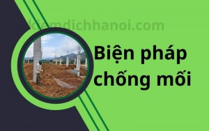 Biện pháp thi công phòng chống mối cho công trình xây dựng theo tiêu chuẩn Việt Nam