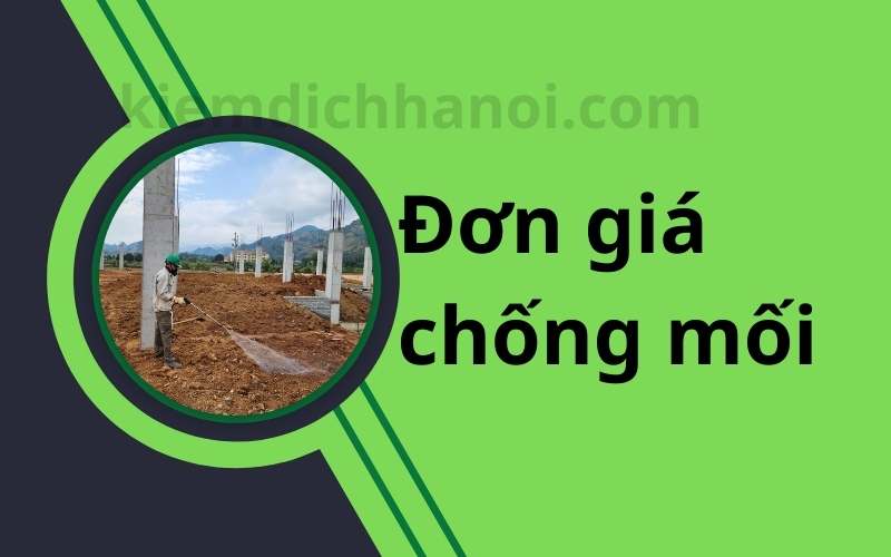 Đơn giá chống mối - Bảng báo giá chống mối công trình xây dựng