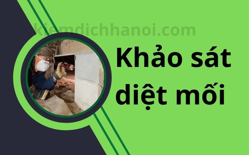 Hướng dẫn cách khảo sát diệt mối hiệu quả