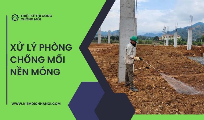 Hướng dẫn xử lý phòng chống mối nền móng hiệu quả