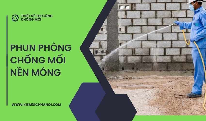 Phun dung dịch phòng chống mối nền móng