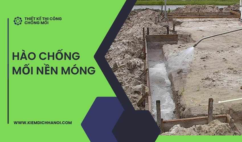 Tạo hàng rào phòng chống mối nền móng