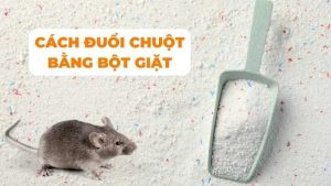 cách đuổi chuột bằng bột giặt