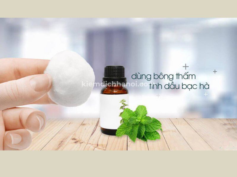 đuổi chuột bằng tinh dầu bạc hà