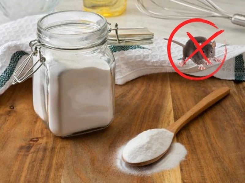 cách diệt chuột bằng Baking Soda