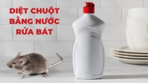 diệt chuột bằng nước rửa bát