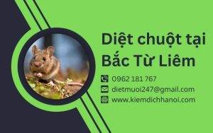 Dịch Vụ Diệt Chuột Tại Bắc Từ Liêm - An Toàn, Hiệu Quả, Uy Tín