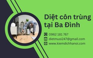 Dịch vụ diệt côn trùng tại Ba Đình – An toàn, hiệu quả, uy tín