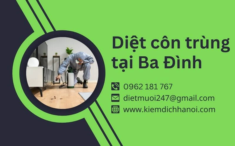 Dịch vụ diệt côn trùng tại Ba Đình – An toàn, hiệu quả, uy tín ha1