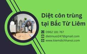 Dịch vụ diệt côn trùng tại Bắc Từ Liêm an toàn, hiệu quả