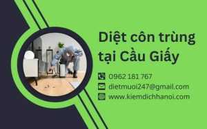 Dịch Vụ Diệt Côn Trùng Tại Cầu Giấy An Toàn, Hiệu Quả