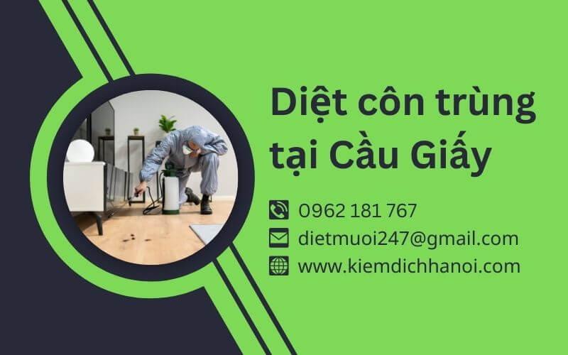 Dịch Vụ Diệt Côn Trùng Tại Cầu Giấy An Toàn, Hiệu Quả ha1