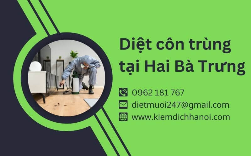 Dịch vụ diệt côn trùng tại Hai Bà Trưng giải pháp an toàn