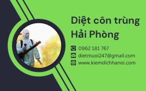 Dịch vụ diệt côn trùng tại Hải Phòng an toàn và uy tín