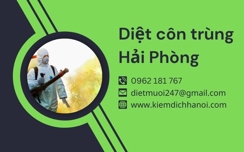 Dịch vụ diệt côn trùng tại Hải Phòng an toàn và uy tín ha1