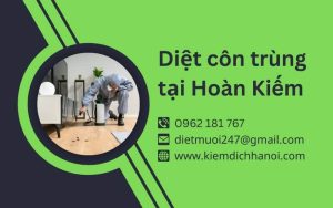 Dịch vụ diệt côn trùng tại Hoàn Kiếm an toàn, hiệu quả cao