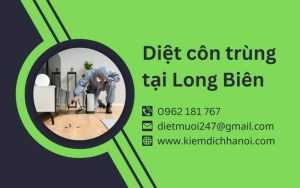 Dịch Vụ Diệt Côn Trùng Tại Long Biên - Hiệu Quả, An Toàn, Giá Tốt