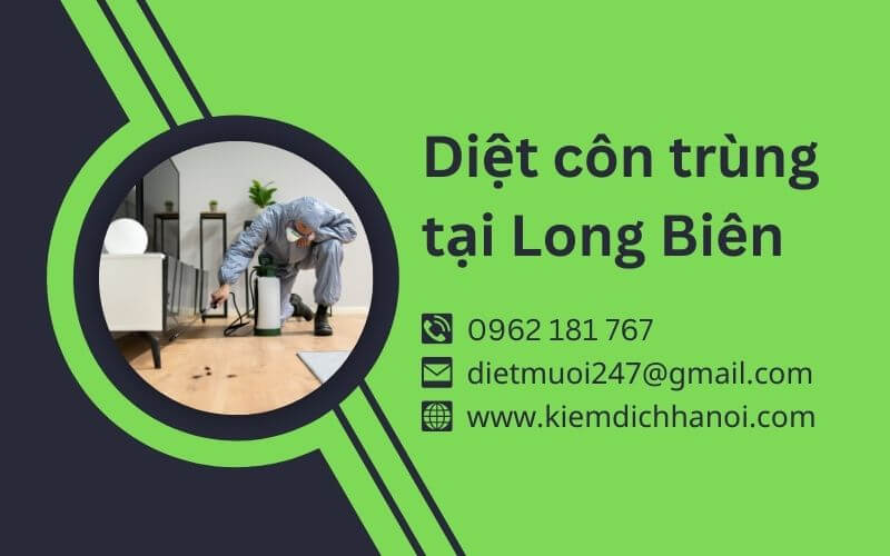 Dịch Vụ Diệt Côn Trùng Tại Long Biên - Hiệu Quả, An Toàn, Giá Tốt ha1