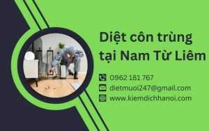 Dịch vụ diệt côn trùng tại Nam Từ Liêm - An toàn, hiệu quả