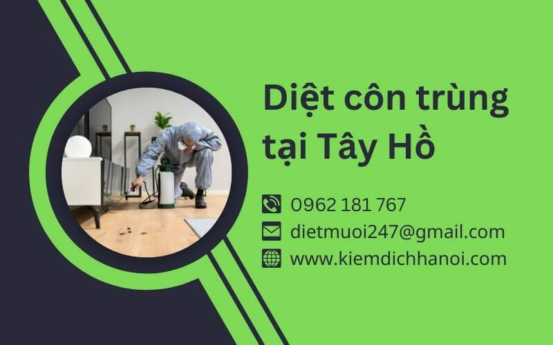 Dịch Vụ Diệt Côn Trùng Tại Tây Hồ - Hiệu Quả, An Toàn, Giá Tốt