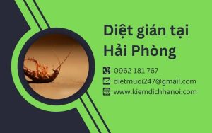 Dịch vụ diệt gián tại Hải Phòng hiệu quả tận gốc