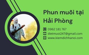 Dịch vụ phun thuốc diệt muỗi tại Hải Phòng