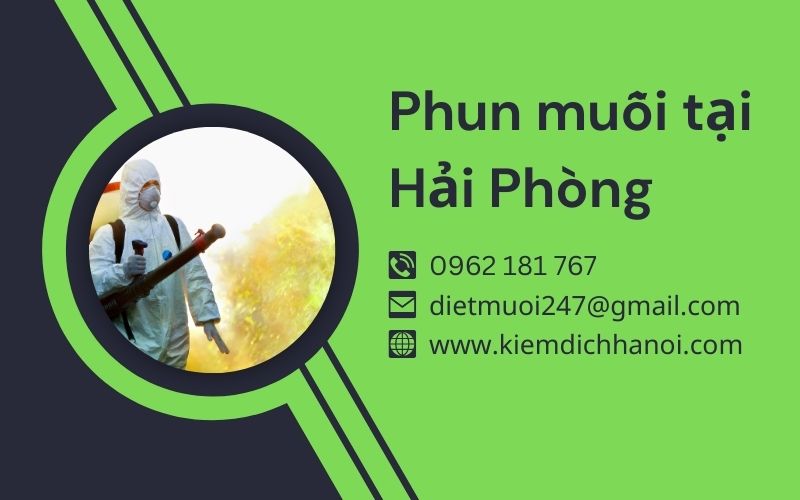 Dịch vụ phun thuốc diệt muỗi tại Hải Phòng ha1